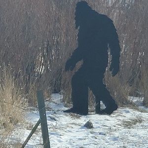 Meet your Posher, Jay